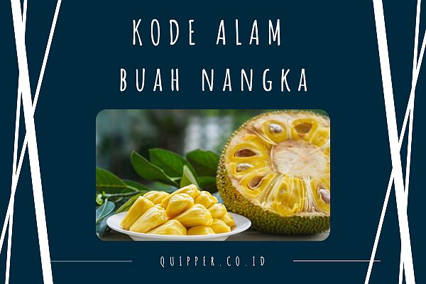 Kode Alam Buah Nangka