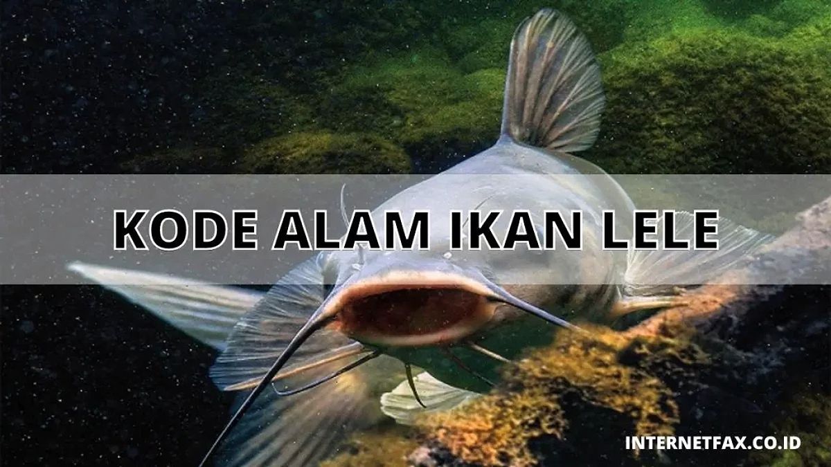 Kode Alam Ikan Lele