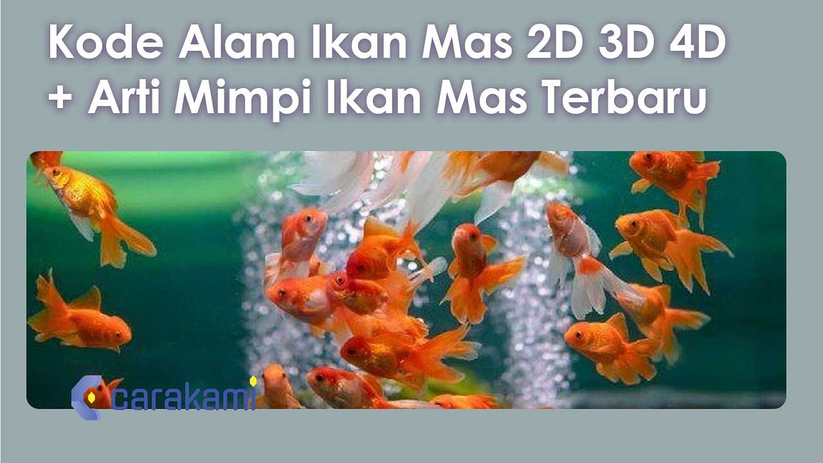 Kode Alam Ikan Mas